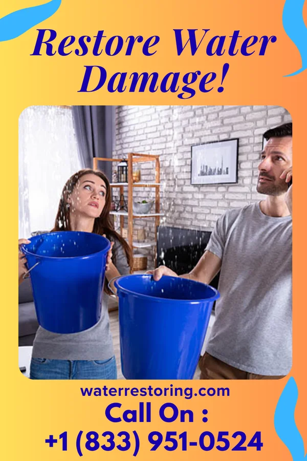 water restoration Citywide Water Removal Masters Gadsden